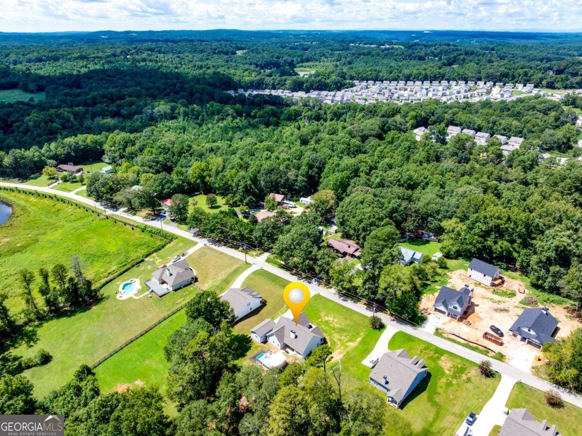 235 Mountain Creek Drive Pendergrass - 47