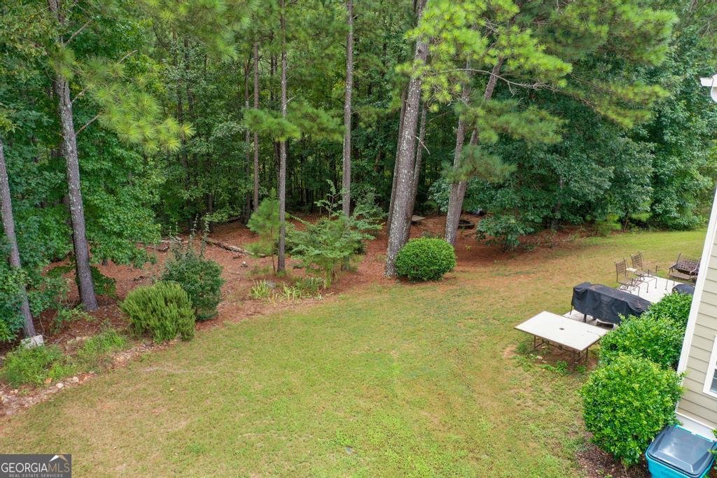 6142 Golf View Crossing Locust Grove - 8