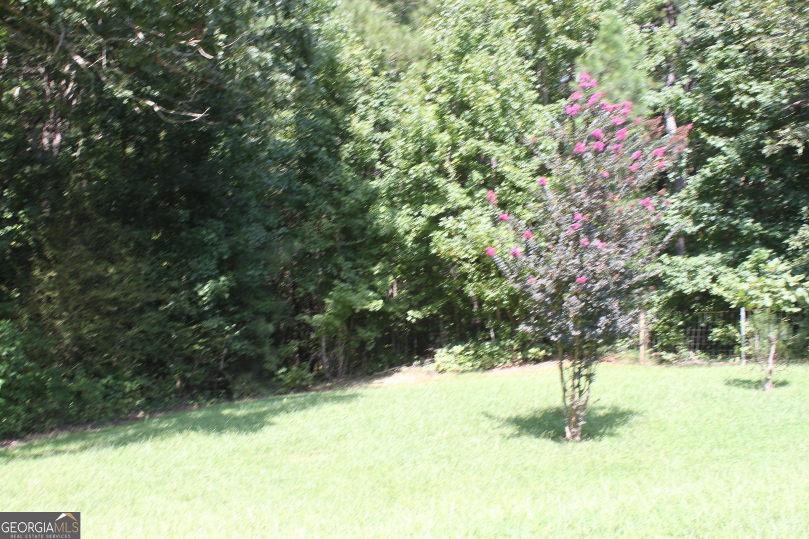 273 Big Buck Trail Jackson - 5