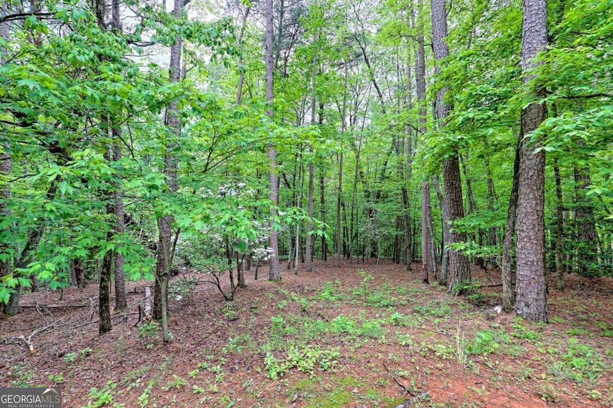521 Crabapple Road Clarkesville - 19