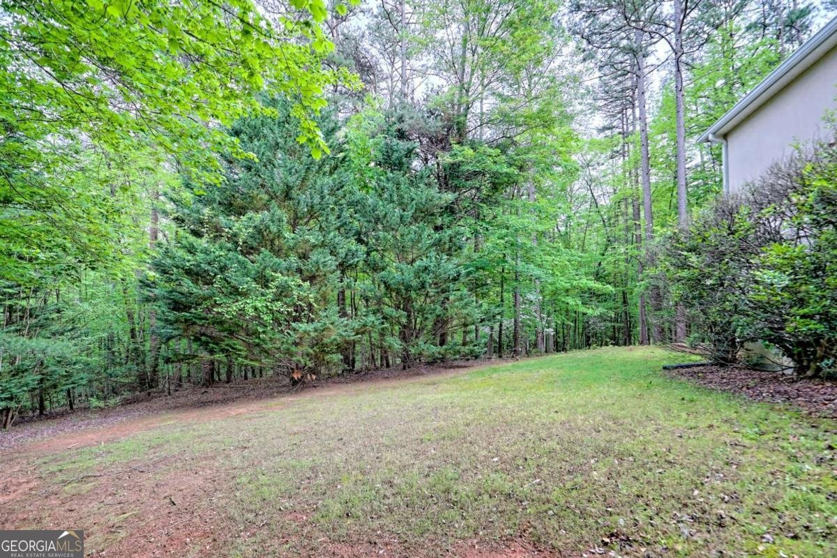 521 Crabapple Road Clarkesville - 28
