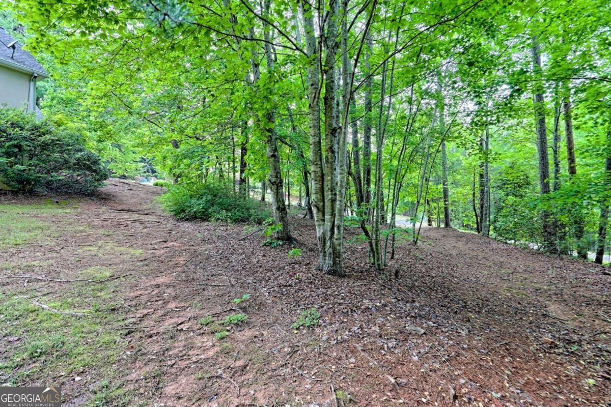 521 Crabapple Road Clarkesville - 30