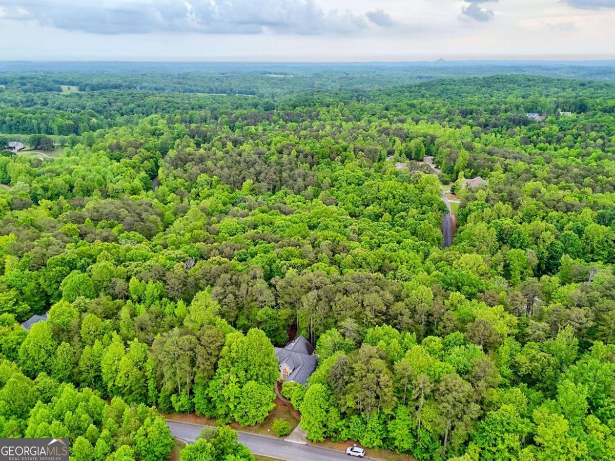 521 Crabapple Road Clarkesville - 31