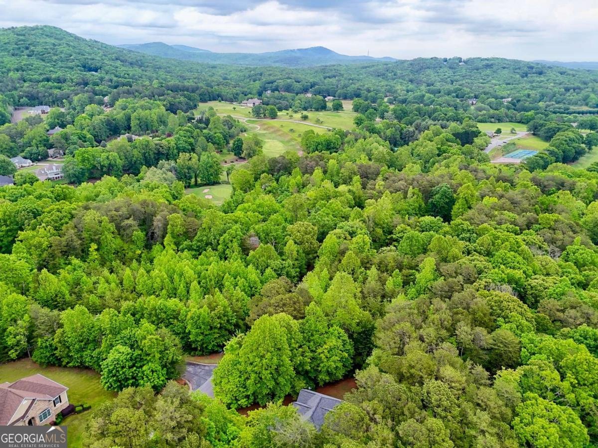 521 Crabapple Road Clarkesville - 32
