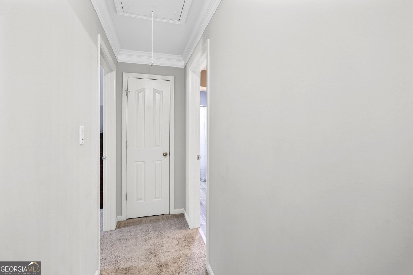 3880 Moon Shadow Way Buford - 20