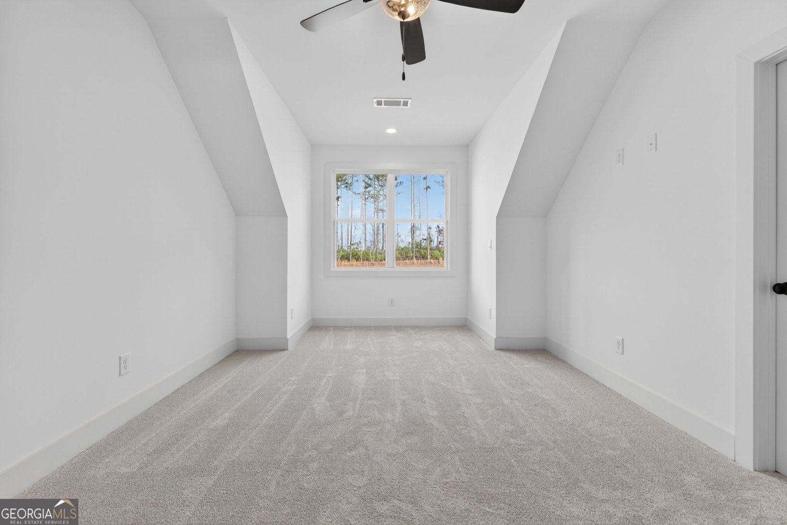 449 Todd Road Senoia - Photo 55