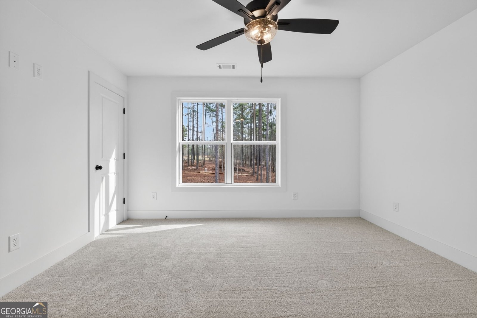 449 Todd Road Senoia - Photo 57