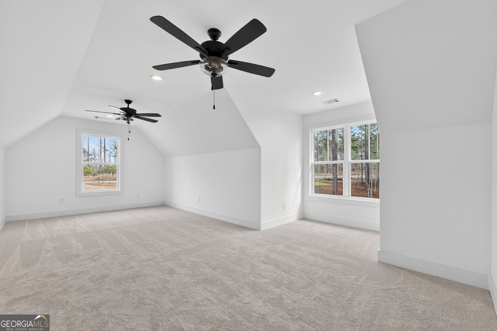 449 Todd Road Senoia - Photo 60