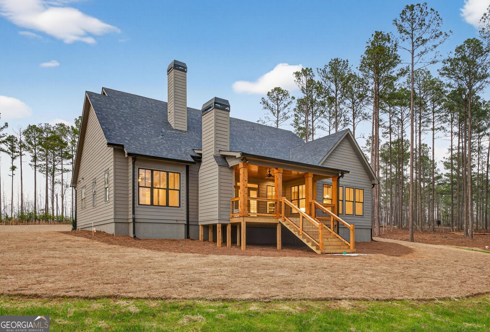 449 Todd Road Senoia - Photo 68