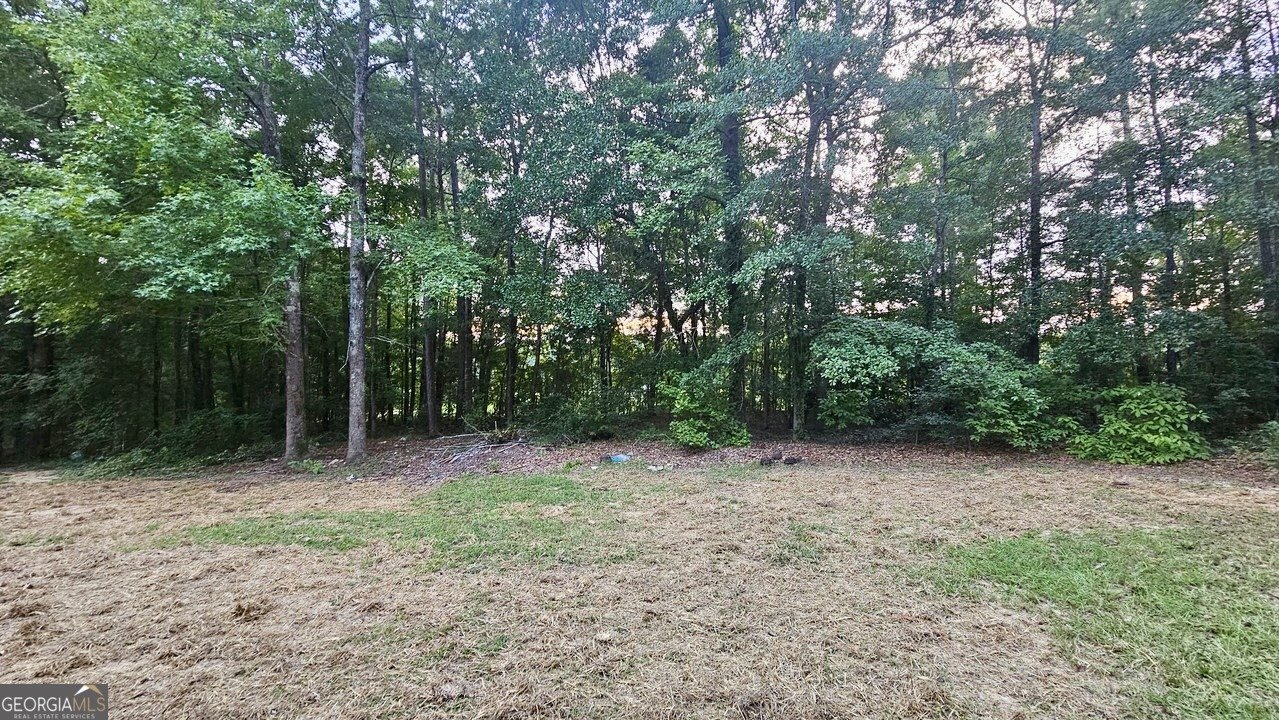 153 Alview Drive Macon - 29