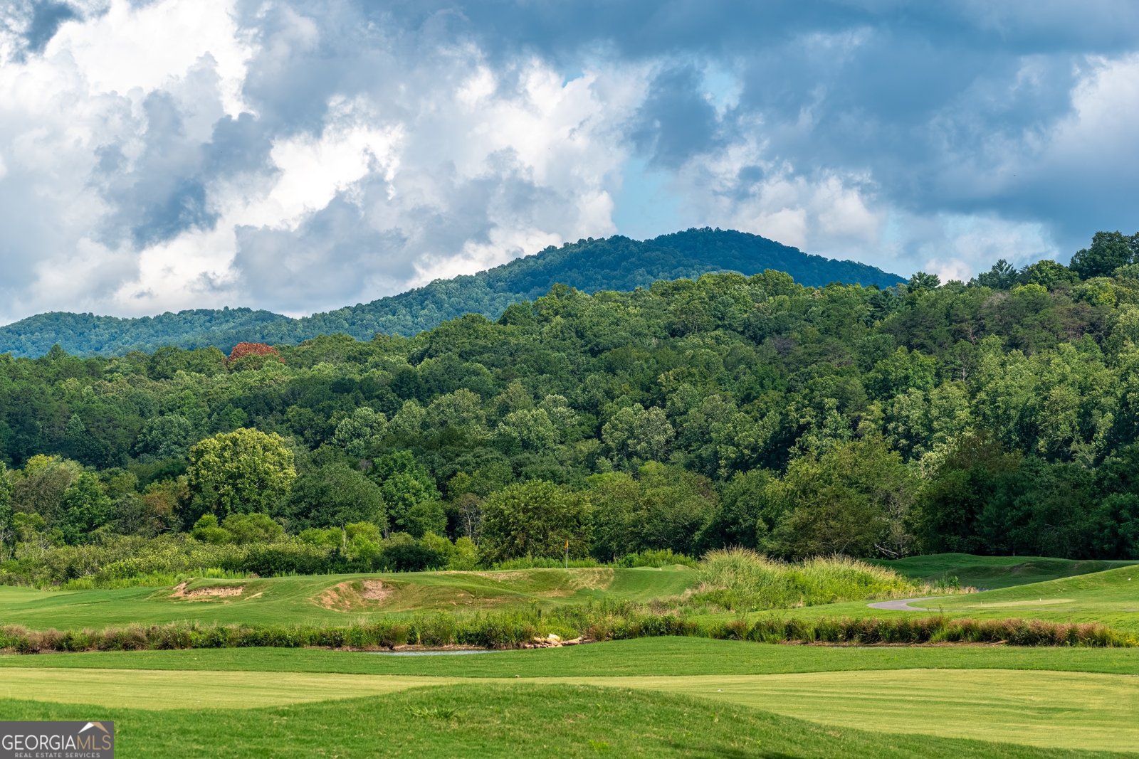 1250 Owen Glen Drive Blairsville - 1