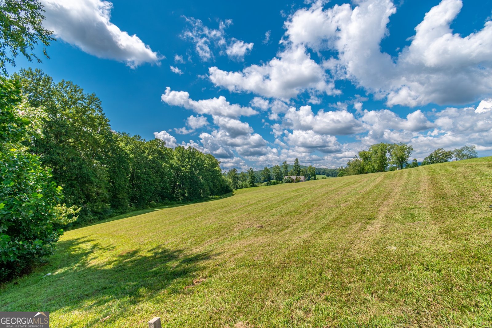 1250 Owen Glen Drive Blairsville - 77