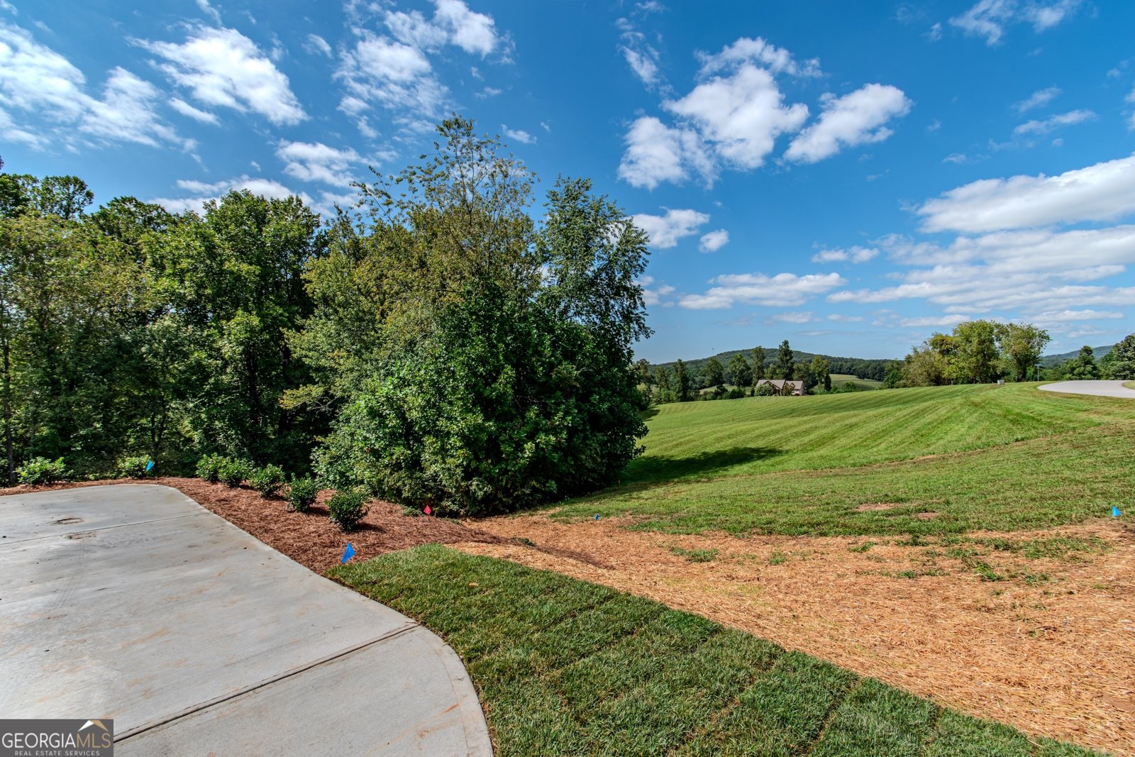 1250 Owen Glen Drive Blairsville - 83