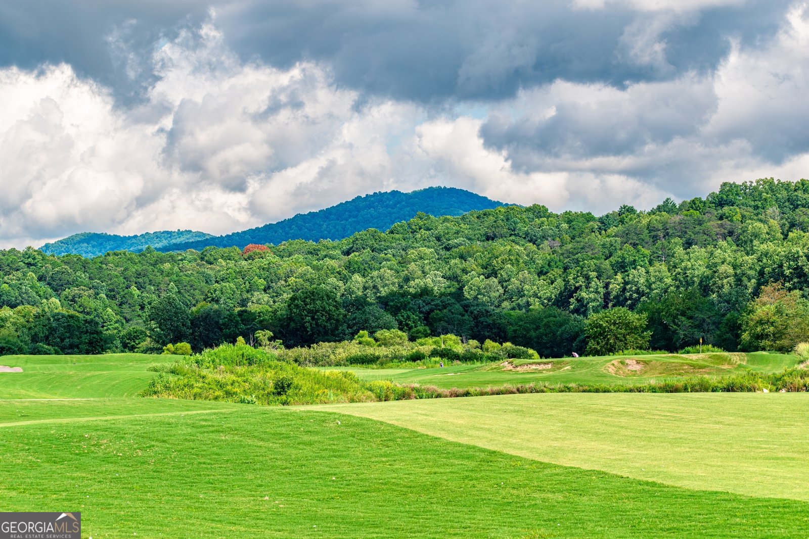 1250 Owen Glen Drive Blairsville - 98