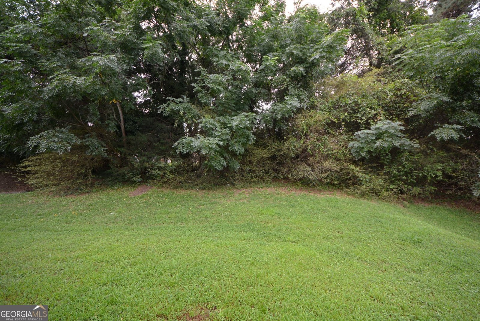 2467 Overlook Avenue Lithonia - 2