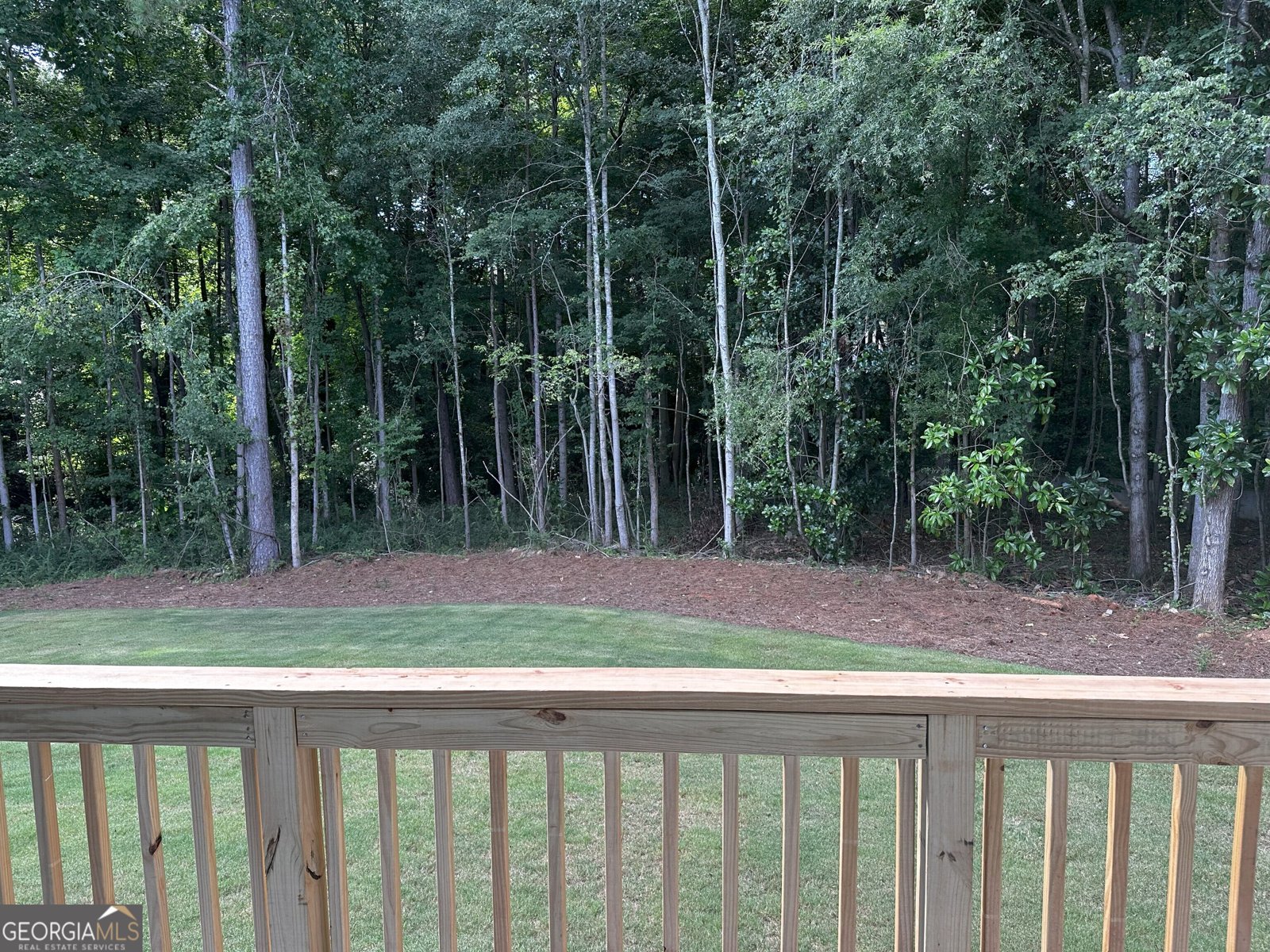 204 Laney Drive Carrollton - 4
