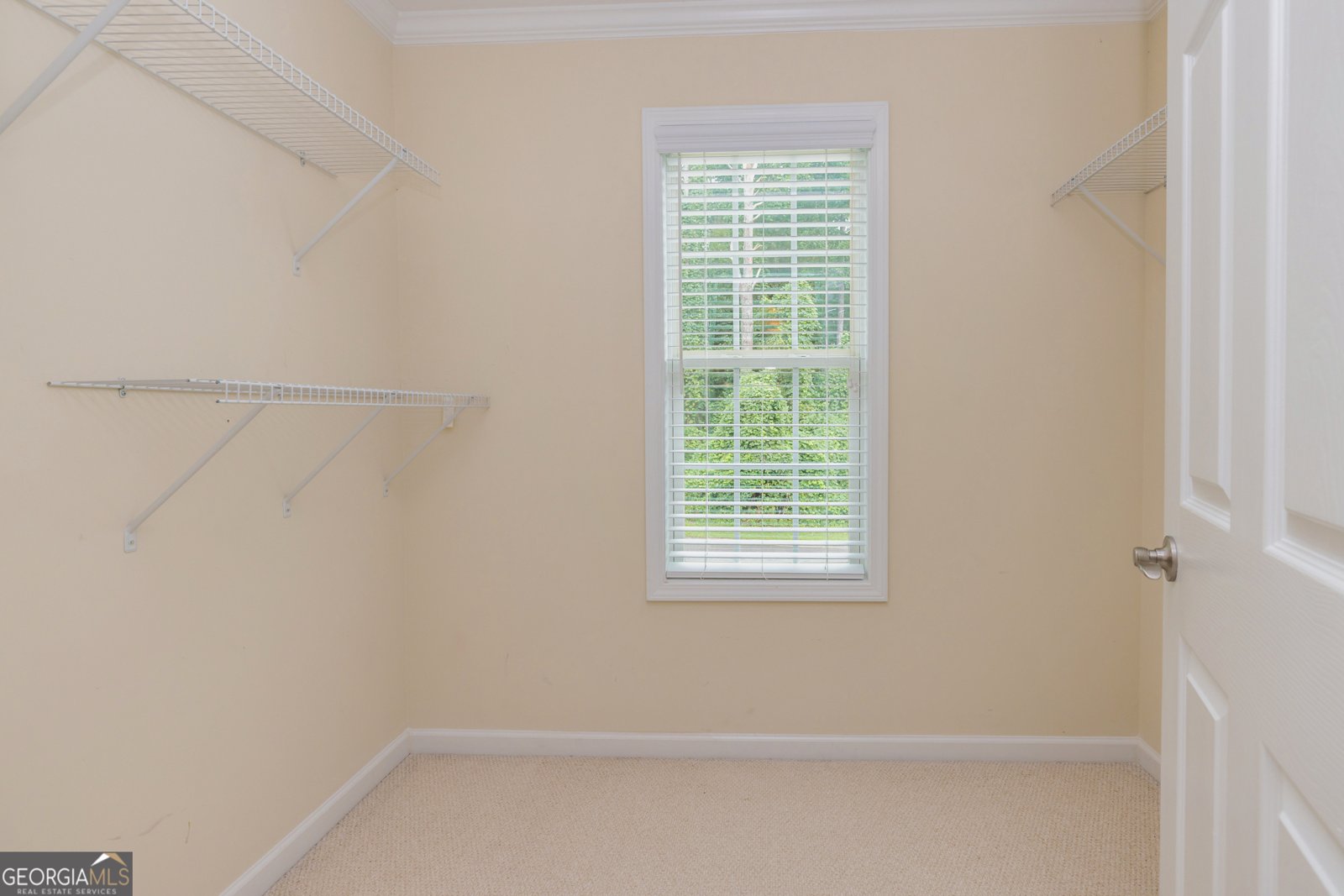 103 Thornbrook Court Carrollton - 2