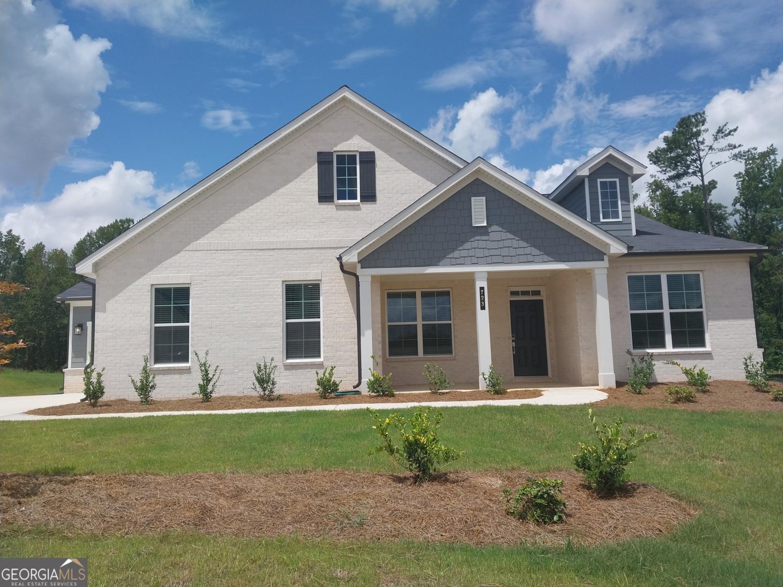 825 Dobby Way Mcdonough - 1