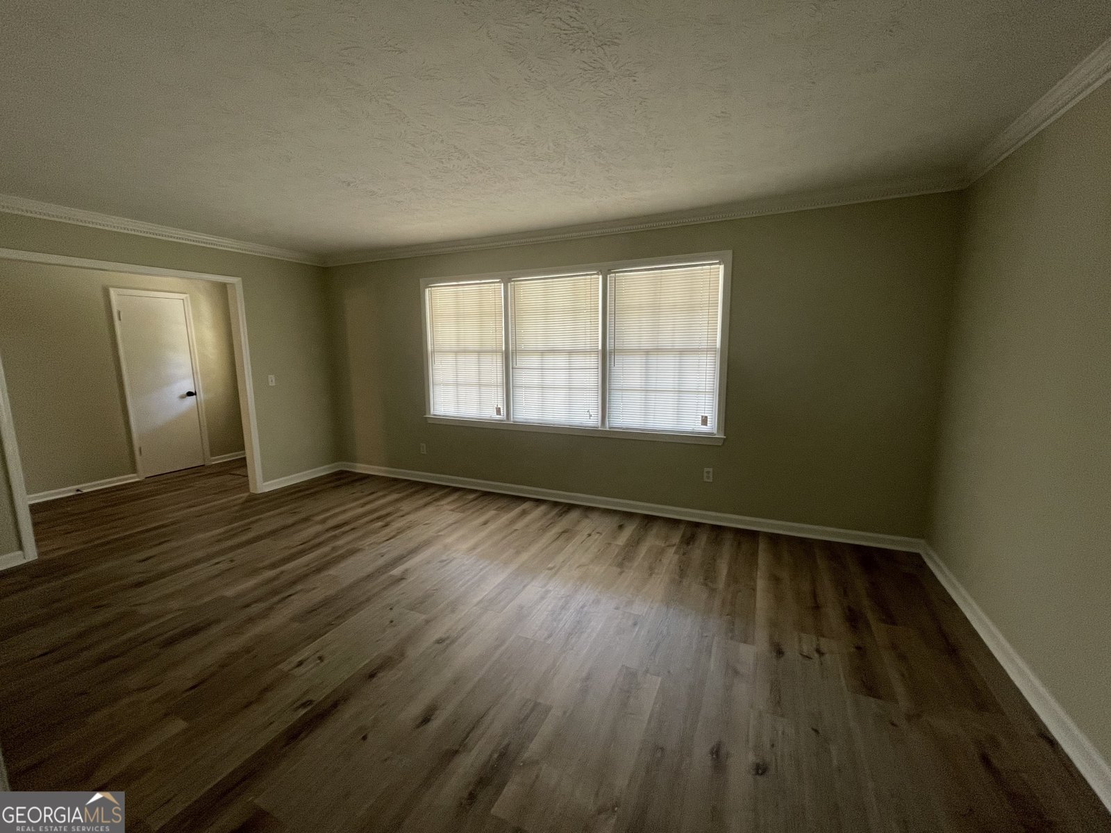 1679 Oak Forest Drive Conyers - 9