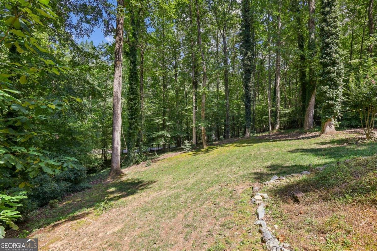 125 Crabapple Way Alpharetta - 11