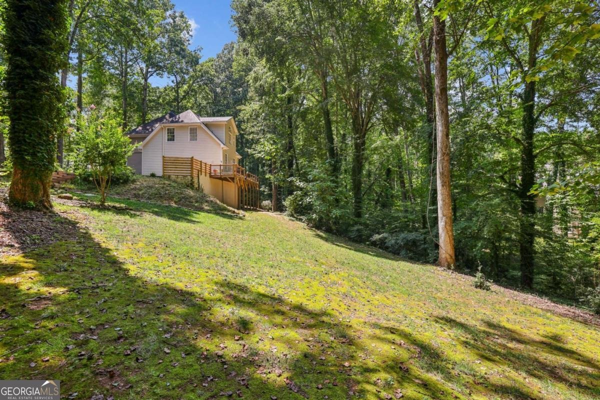 125 Crabapple Way Alpharetta - 29