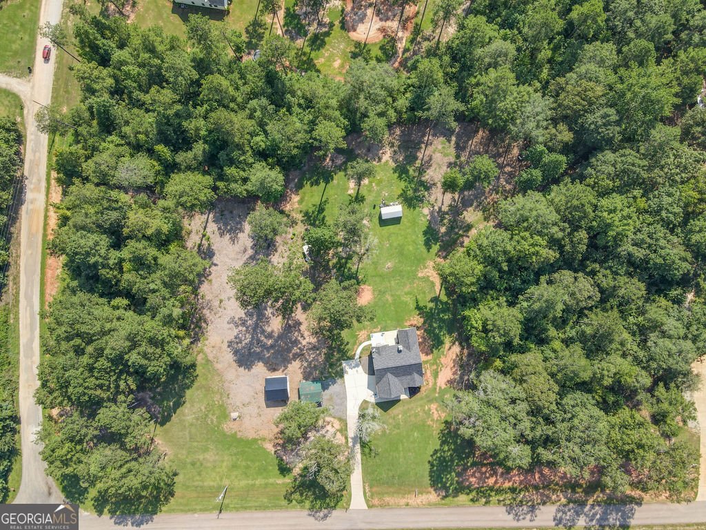 2046 McWilliams Barber Road Luthersville - 10