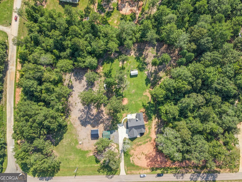 2046 McWilliams Barber Road Luthersville - 15