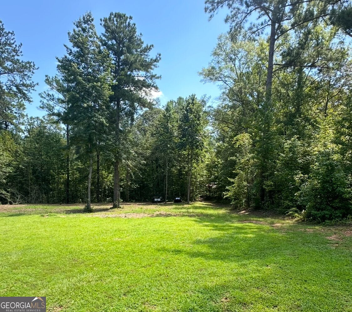 2046 McWilliams Barber Road Luthersville - 4