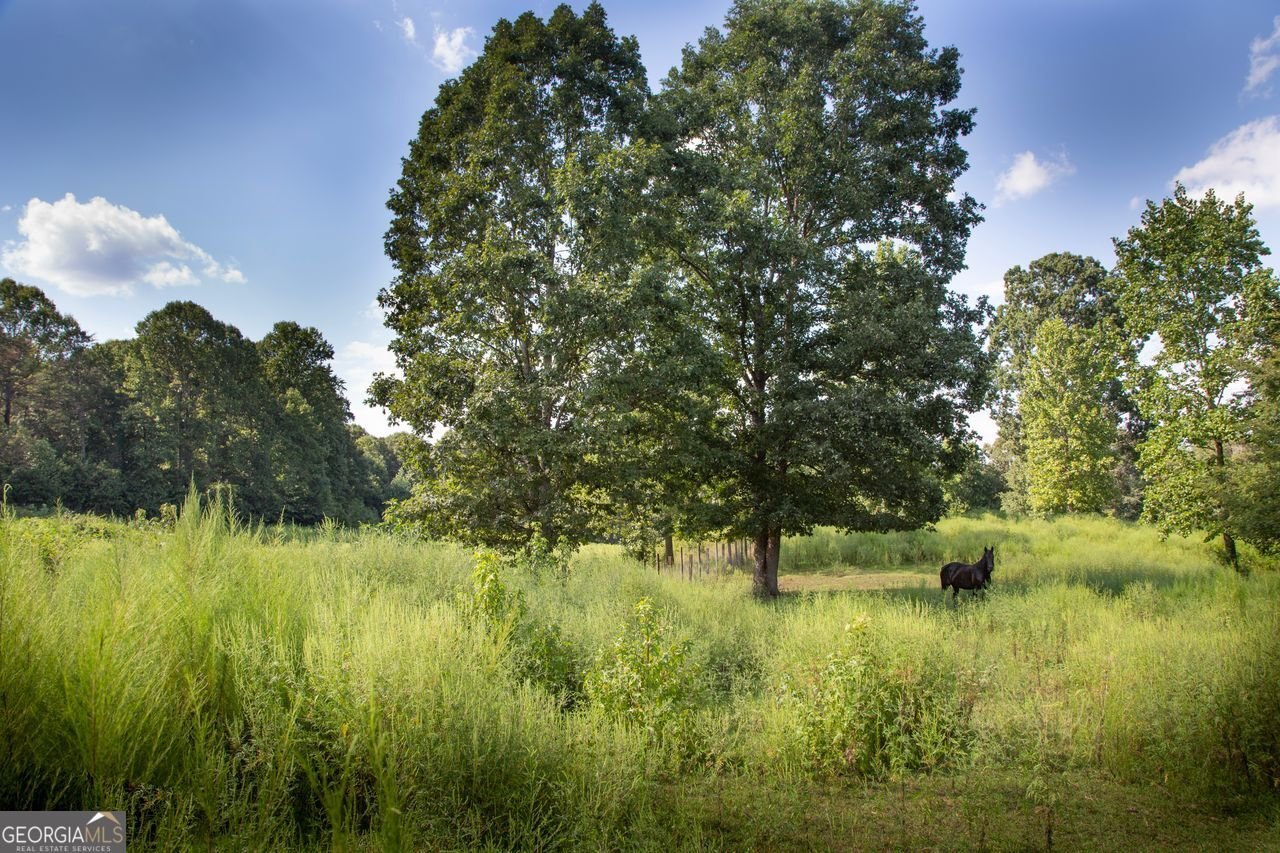 4274 PILLSBURY Road Gainesville - 35