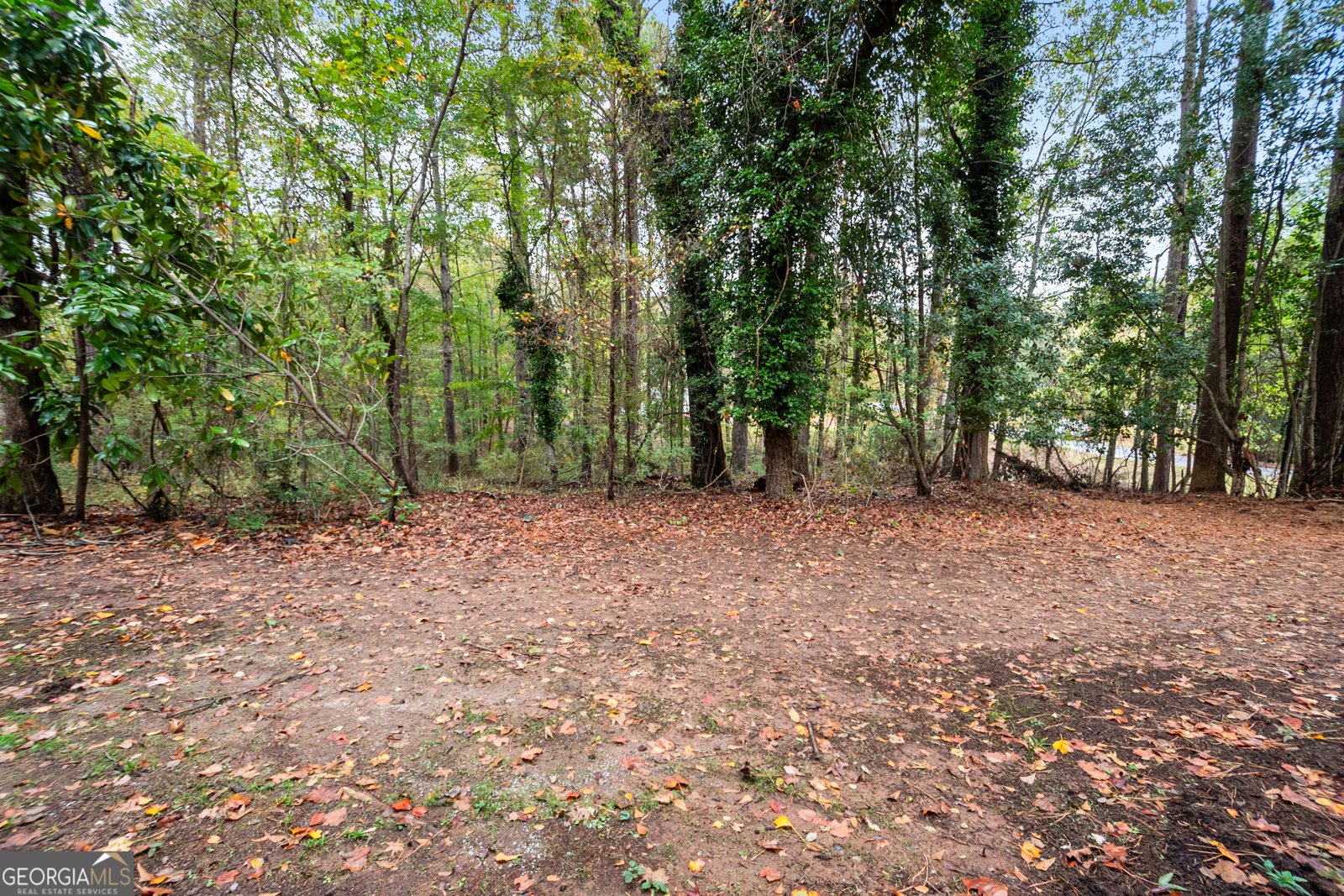 165 Fox Hunt Court Fayetteville - 38