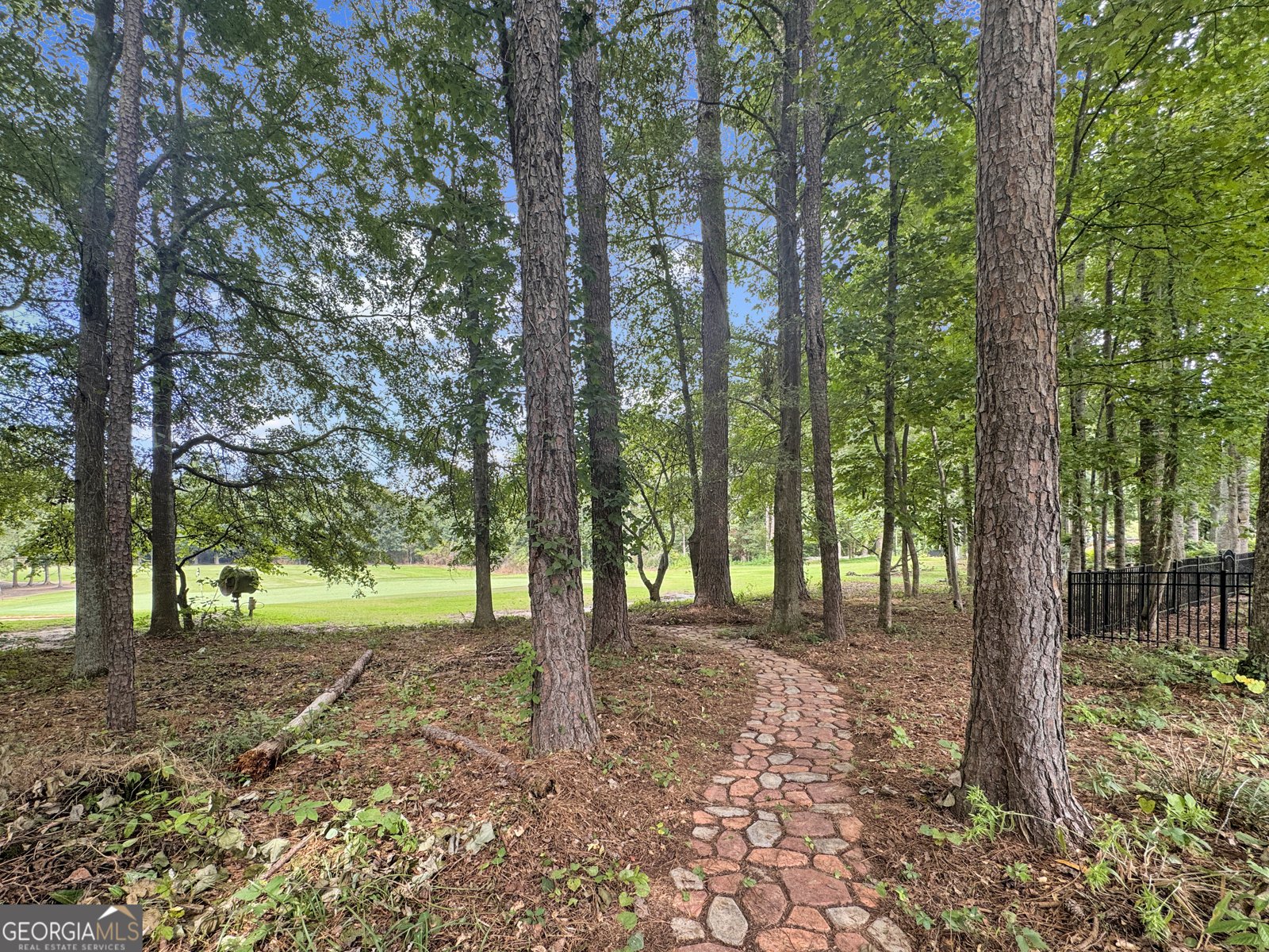233 Horizon Hill Newnan - 4