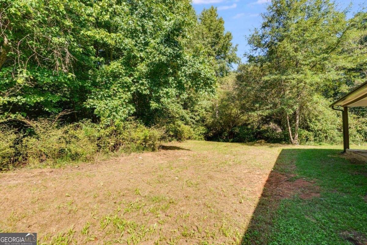 60 McCoy Drive Carrollton - 5