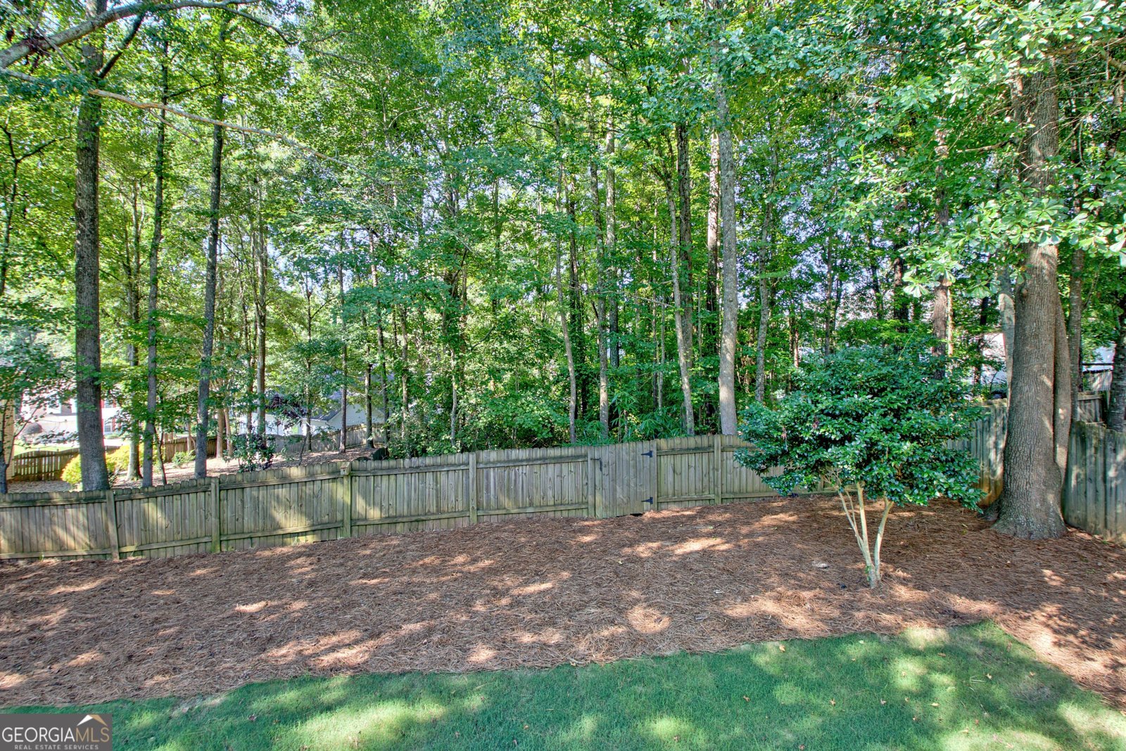 103 Ardenlee Drive Peachtree City - 19