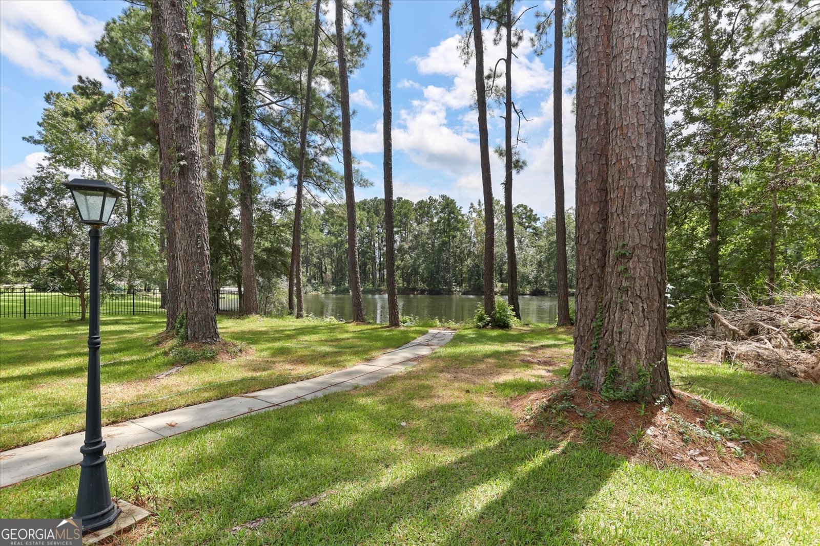 203 Cypress Lakes Drive Bloomingdale - 49