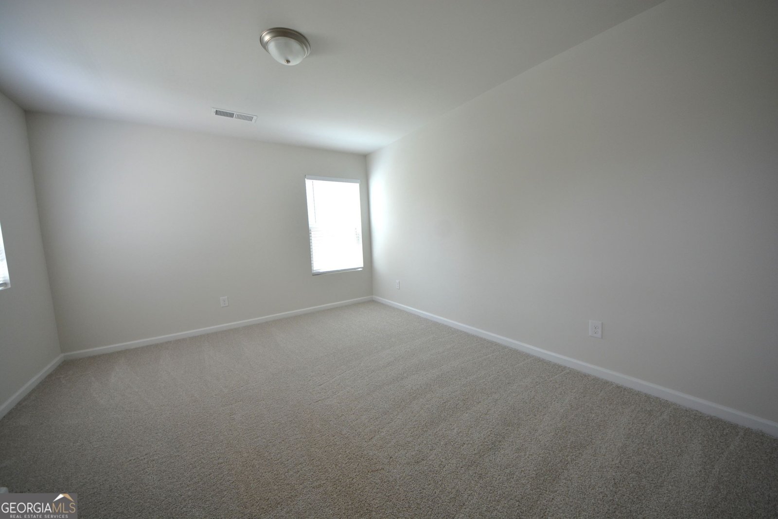 168 Daisy Circle McDonough - 29