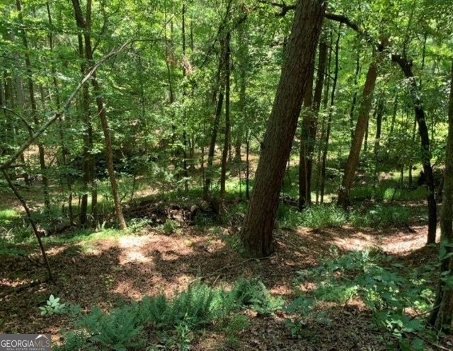 11035 Parsons Road Johns Creek - 14