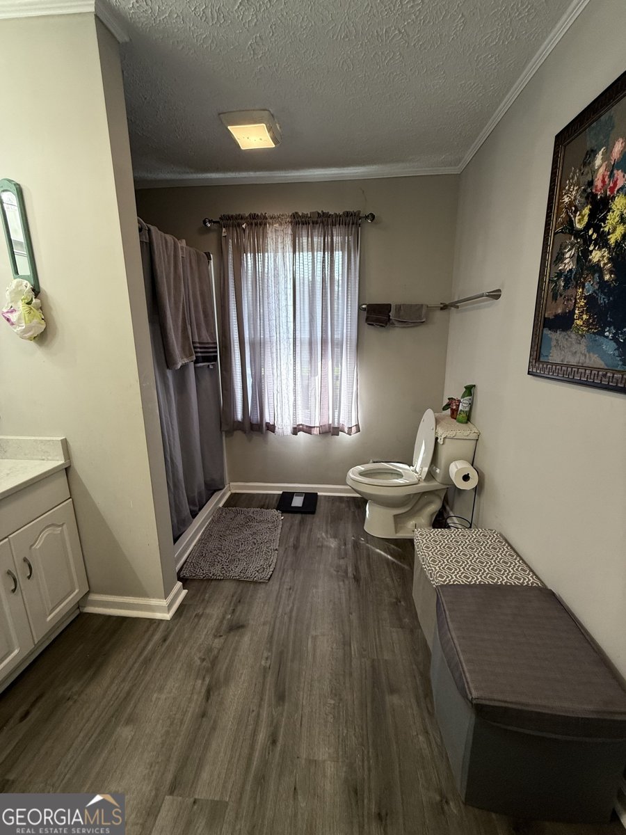 735 Bowersville Road Carnesville - 24
