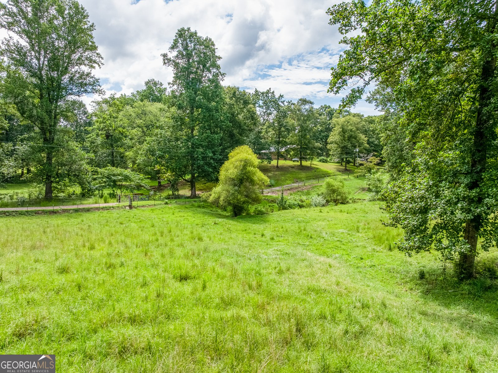 6223 Hulsey Road Clermont - 2