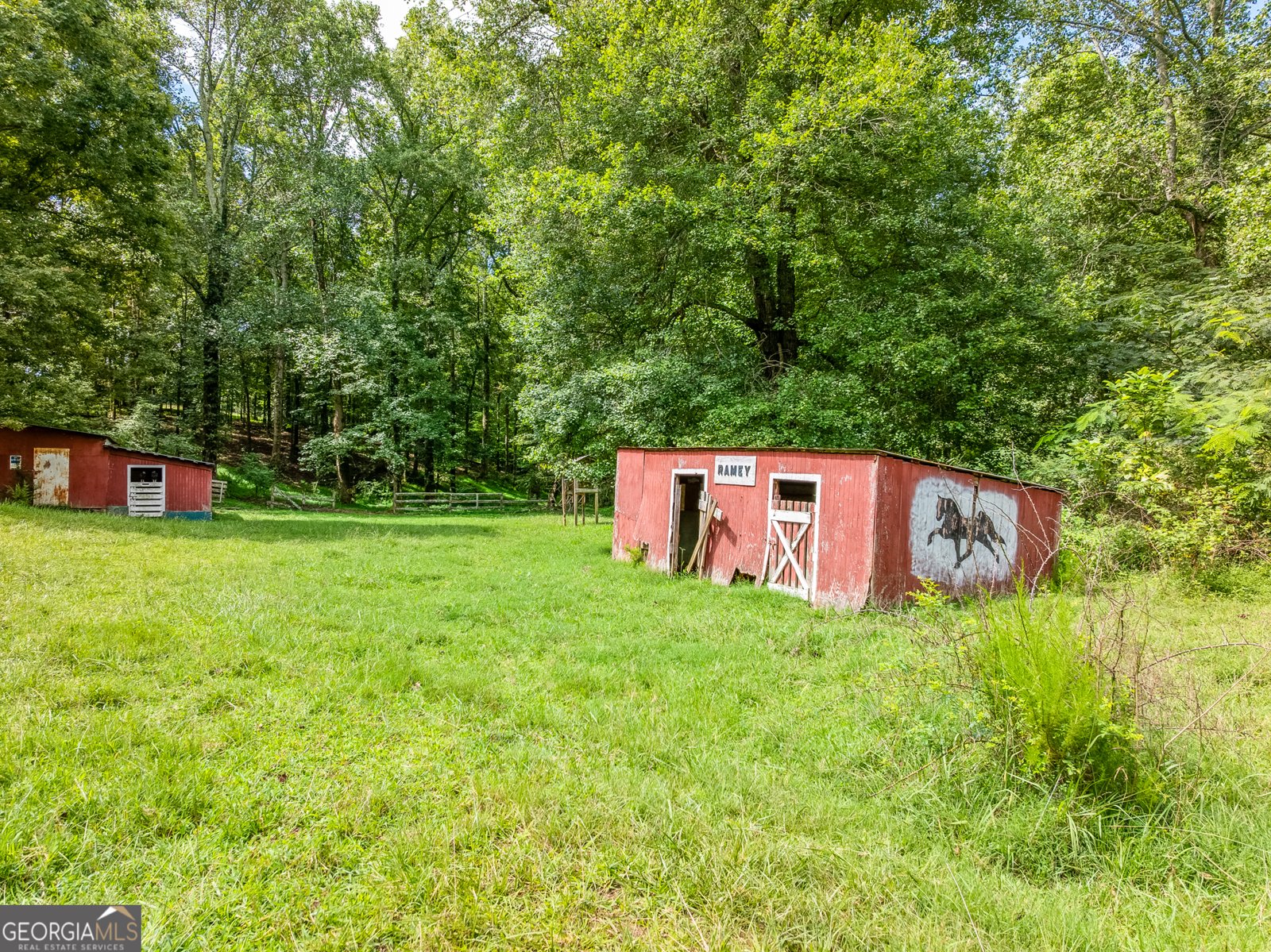 6223 Hulsey Road Clermont - 3