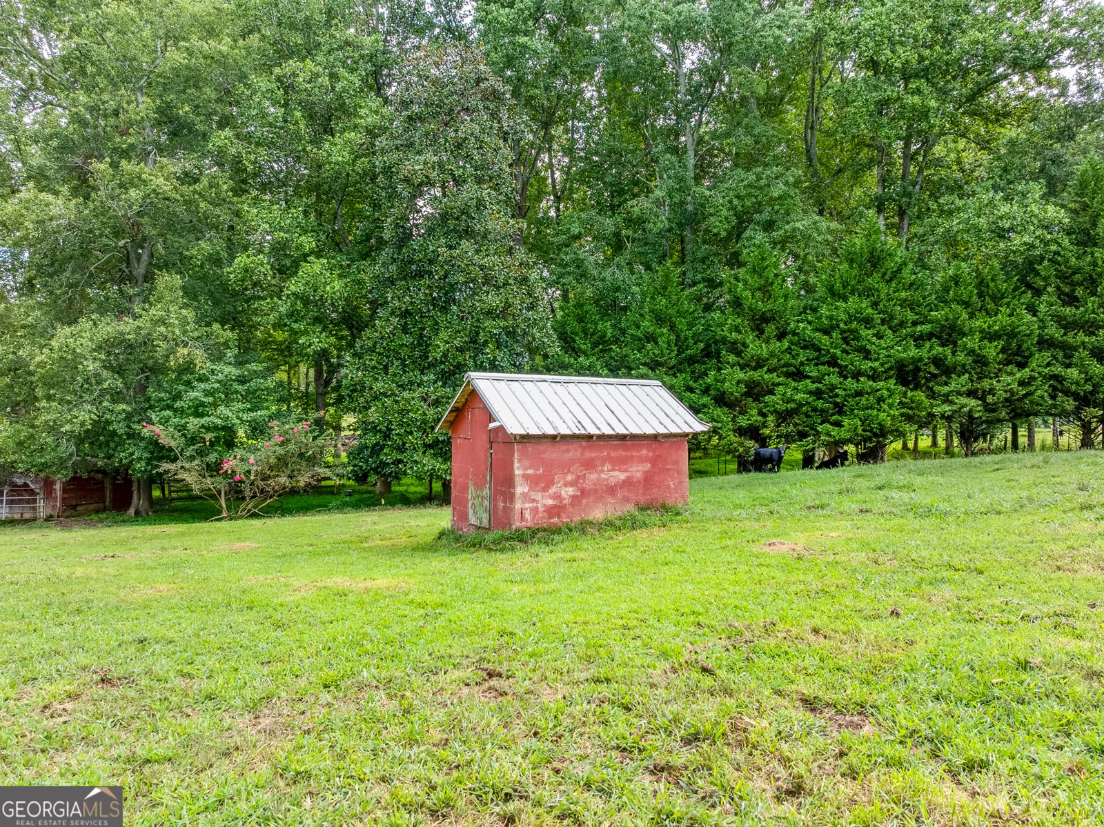 6223 Hulsey Road Clermont - 36