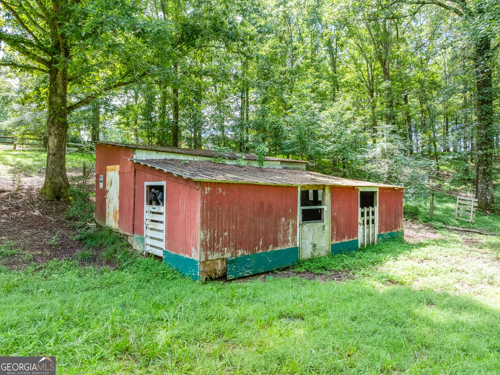 6223 Hulsey Road Clermont - 38