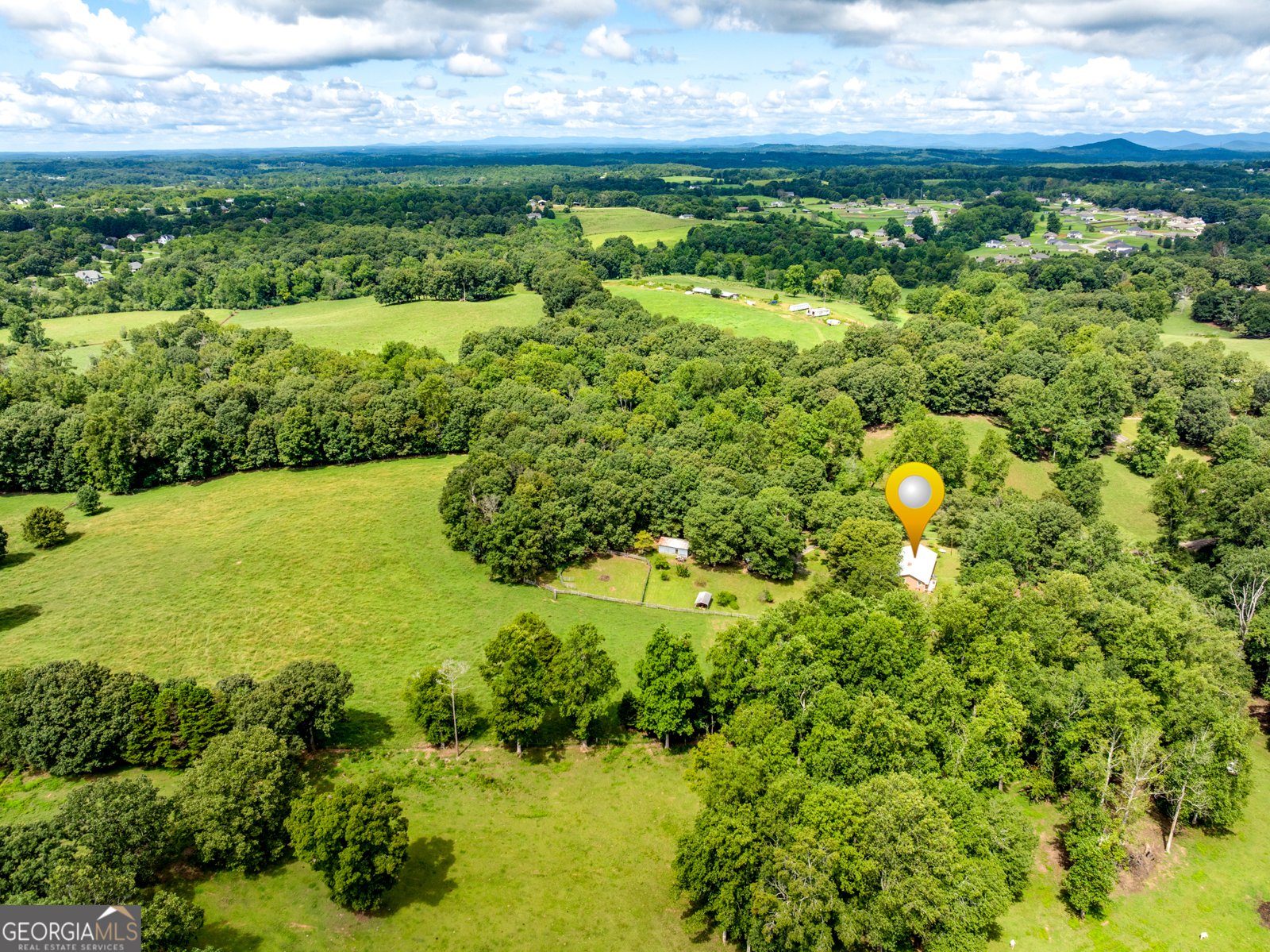 6223 Hulsey Road Clermont - 44