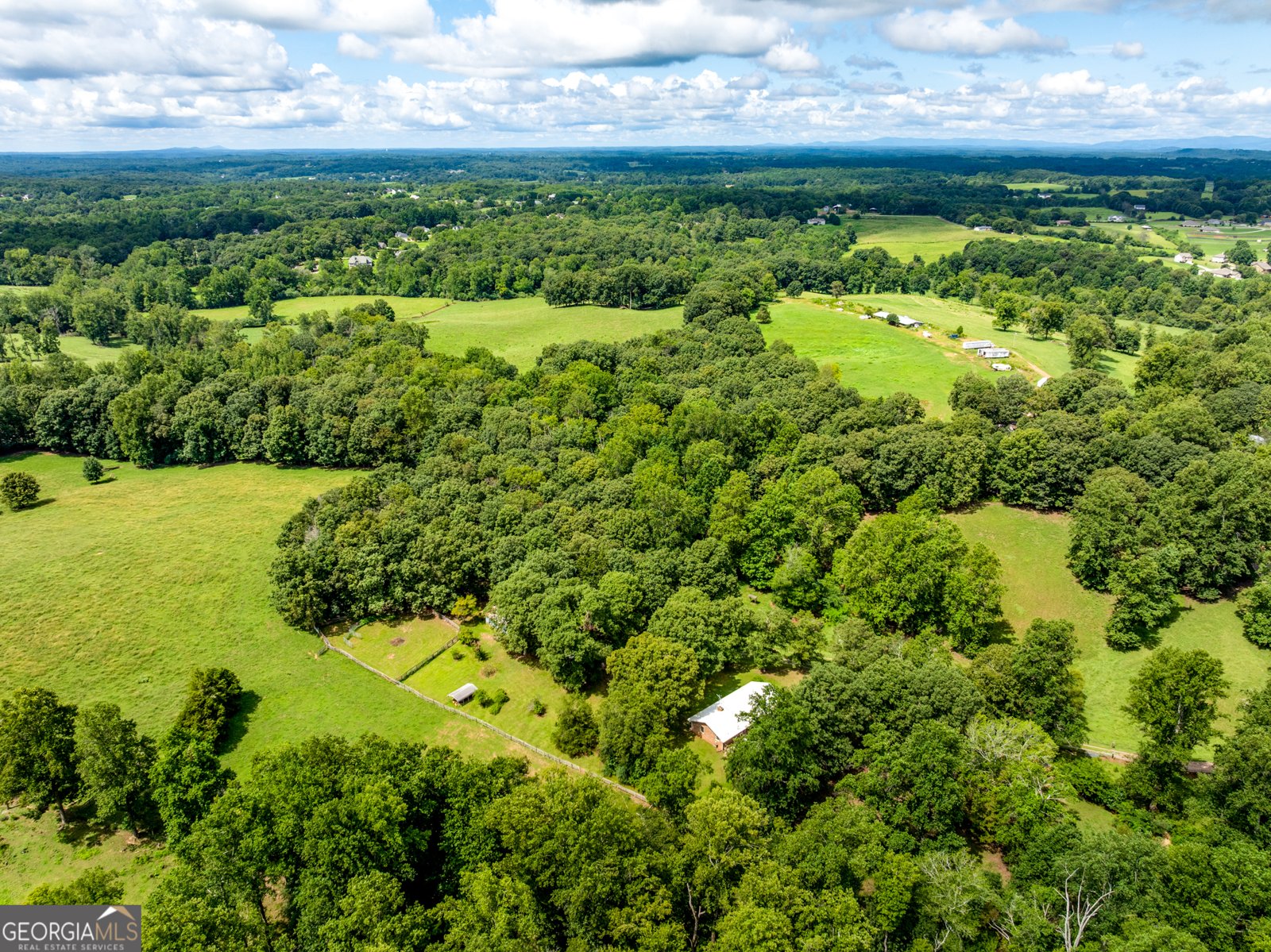 6223 Hulsey Road Clermont - 5
