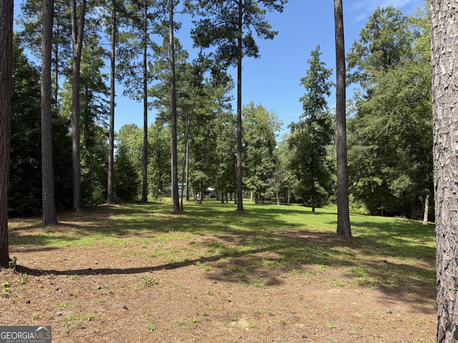 102 Oakline Court Eatonton - 7