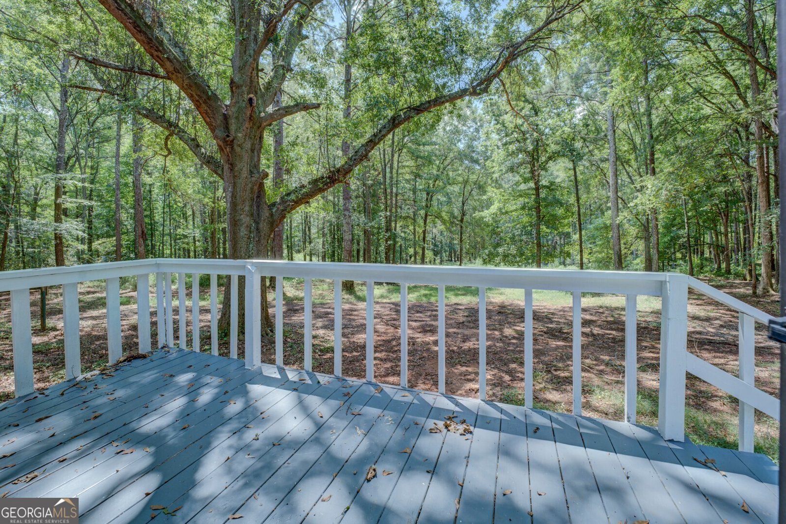 2733 Pitts Chapel Road Newborn - 30