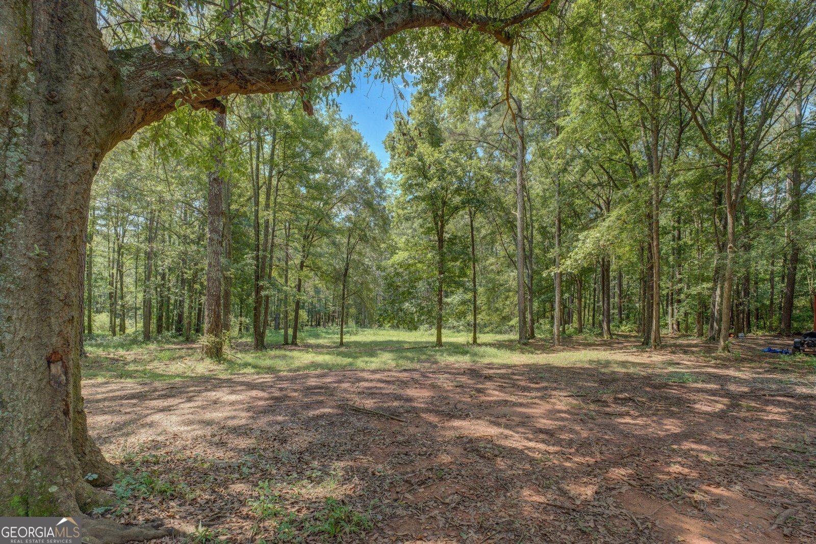 2733 Pitts Chapel Road Newborn - 8