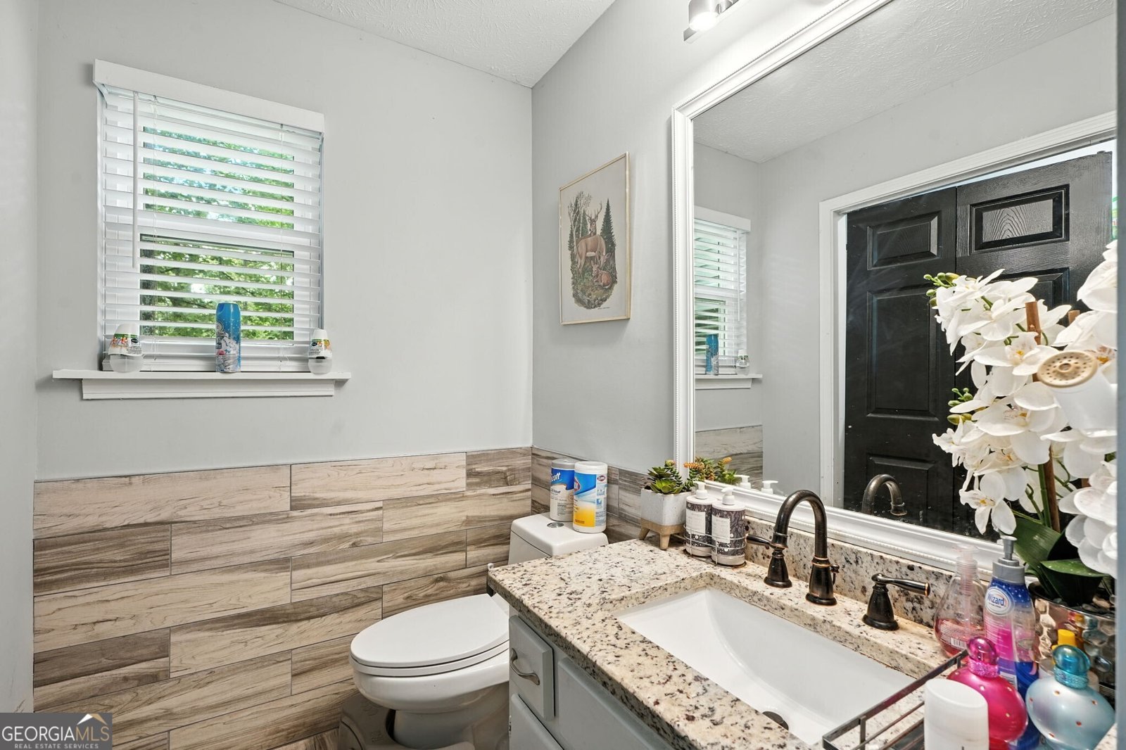 8804 Willow Creek Court Douglasville - 2