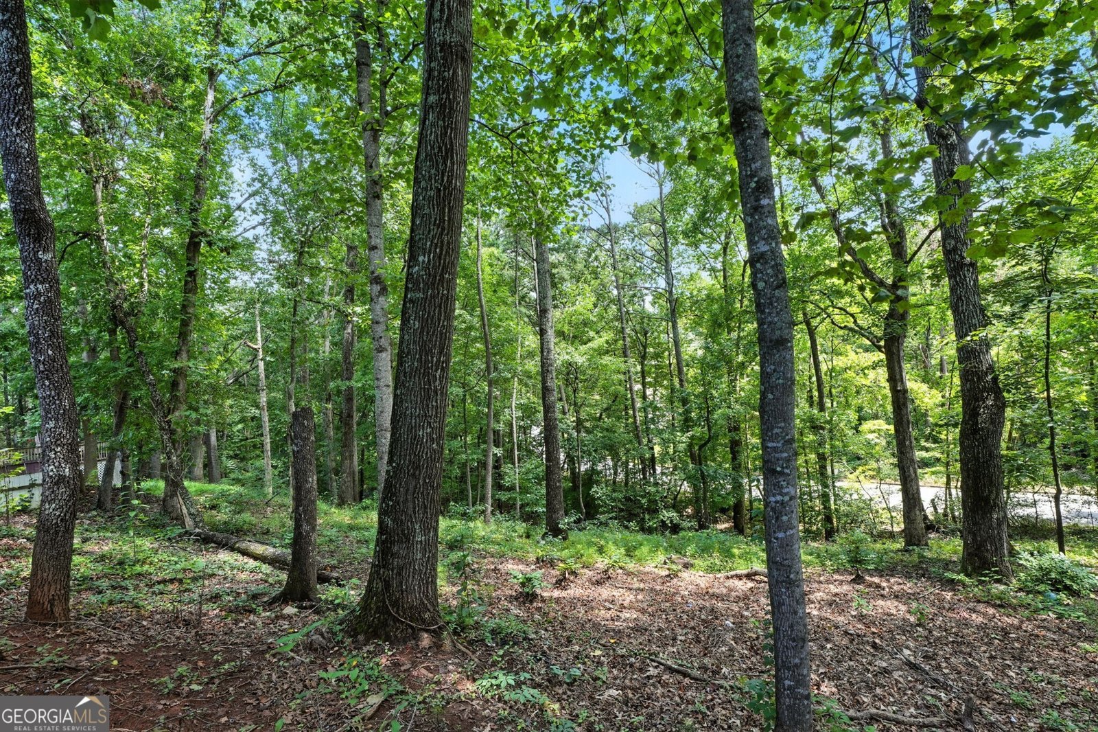 8804 Willow Creek Court Douglasville - 29