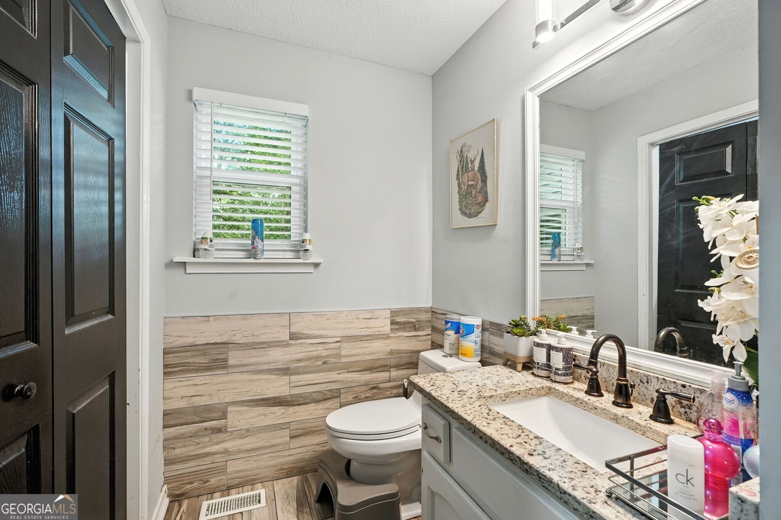 8804 Willow Creek Court Douglasville - 3