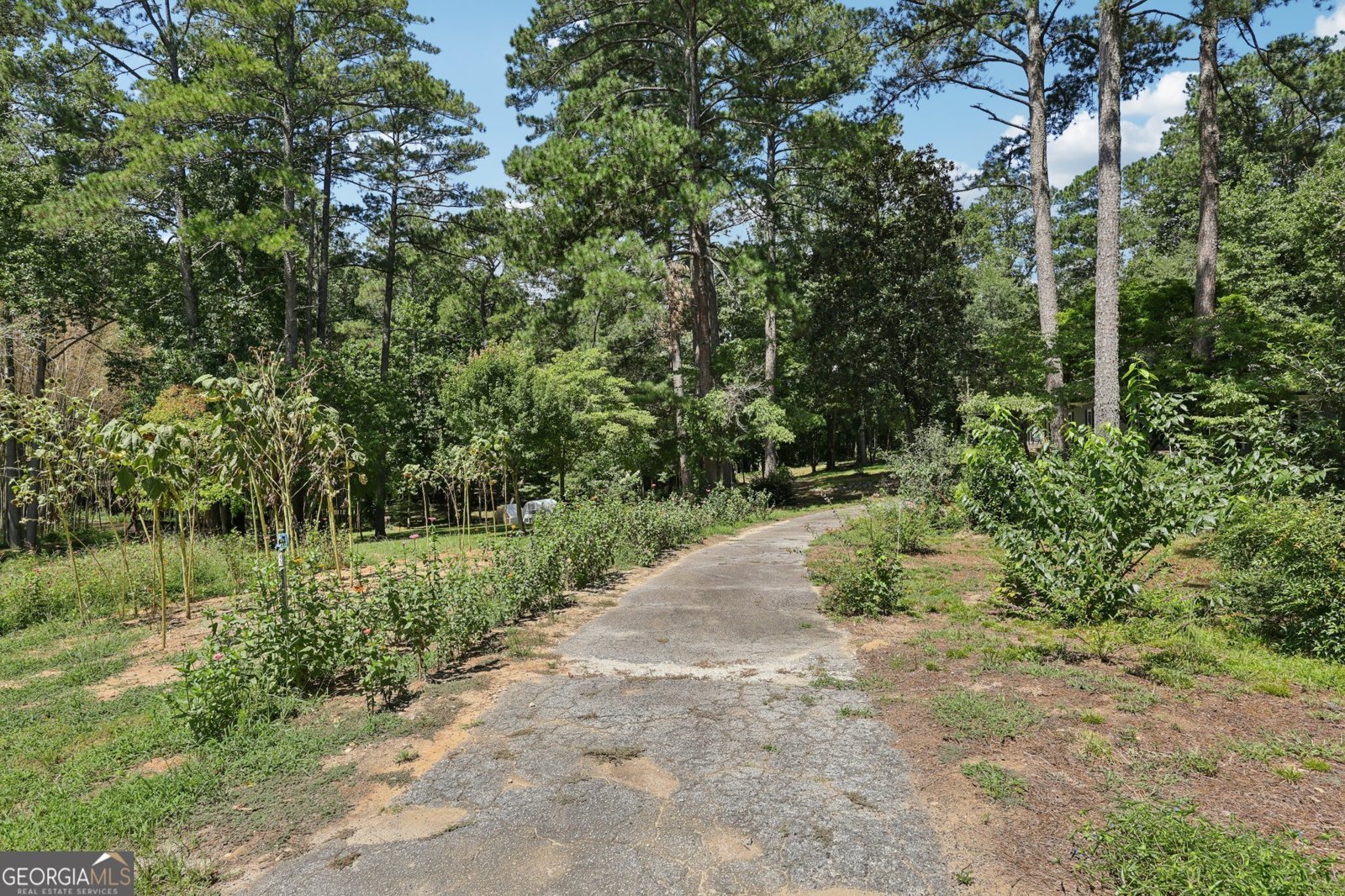 250 Stagecoach Road Oxford - 39